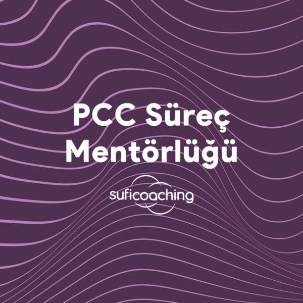 PCC Süreç Mentörlüğü
